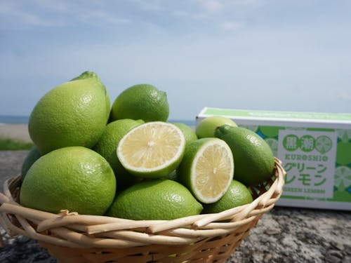 グリーンレモンも栽培してます