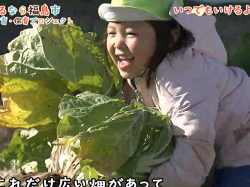 白菜を自分の手で引っこ抜く体験ができます。うまく抜けたときには歓声が上がります。