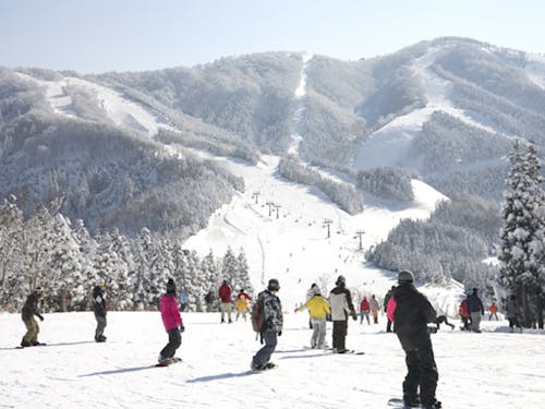 中継「スキージャム勝山」