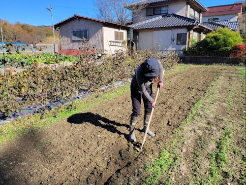 麦植え準備