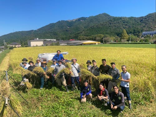 2021年秋は、稲がよく稔りました！