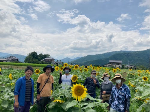 土づくり中のひまわり畑にて