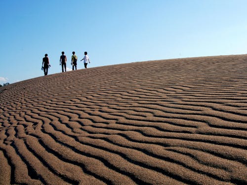 日本最大級の広さを誇る鳥取砂丘までは車で10~20分!