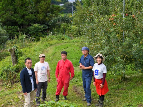 米崎りんごの仲間たち