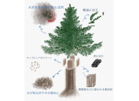 下川町の木のカスケード利用について