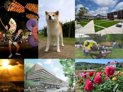 自然も都市機能もバランスいい!