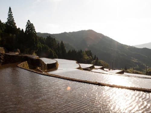 天空の茶屋敷の真裏にある棚田 田植え前の風景