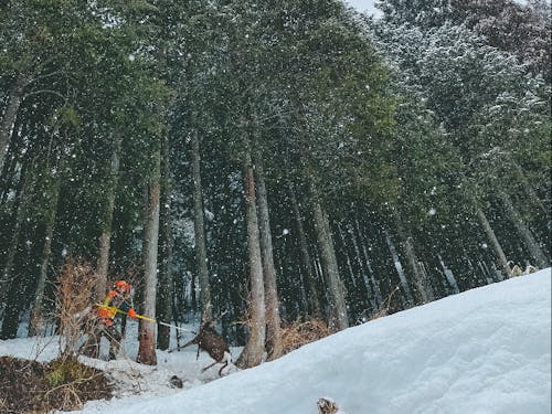 たじり旦那の狩猟見学ツアー