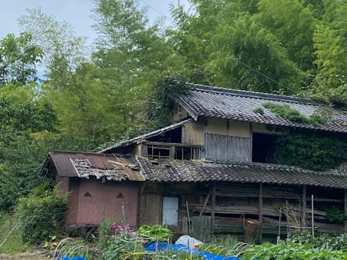 屋根に穴があいている家や