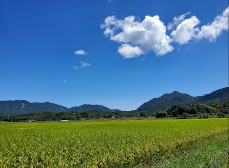 祖生の田園風景