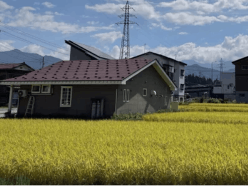 自然豊かな土地