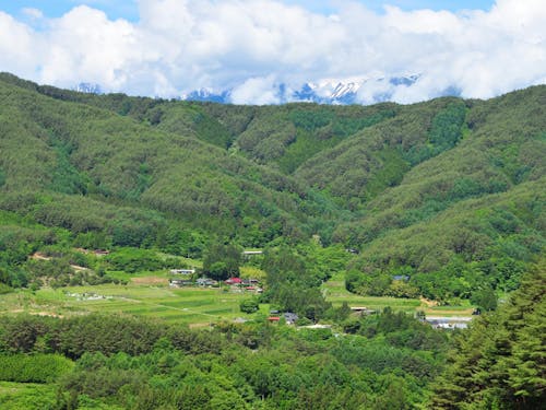ここが私たちの暮らす集落です
