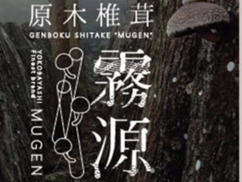 原木椎茸を活用したブランディングも展開中