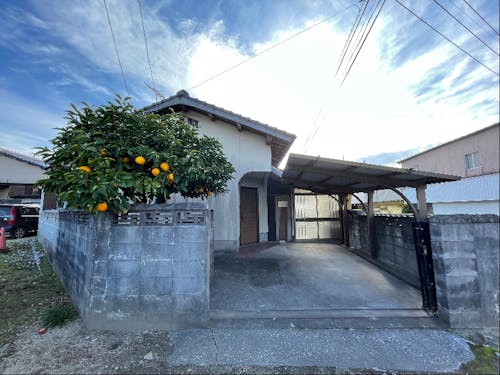 今回のチェックポイントの一つである空き家。柑橘の実る素敵な家です
