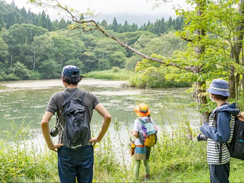 現地視察の様子