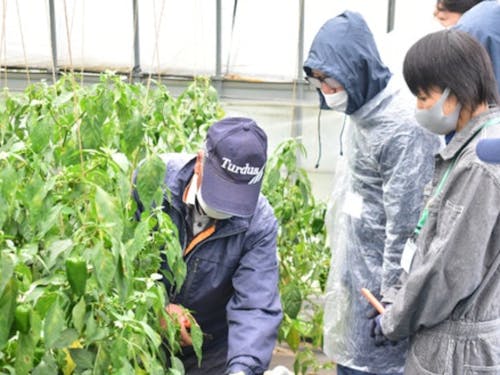 現地体験ツアーの様子