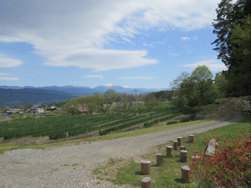 自然がいっぱいの町です