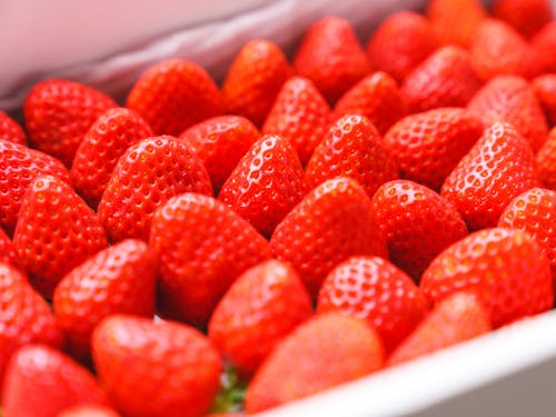 村のみんなで名前をつけた“北ポムム“