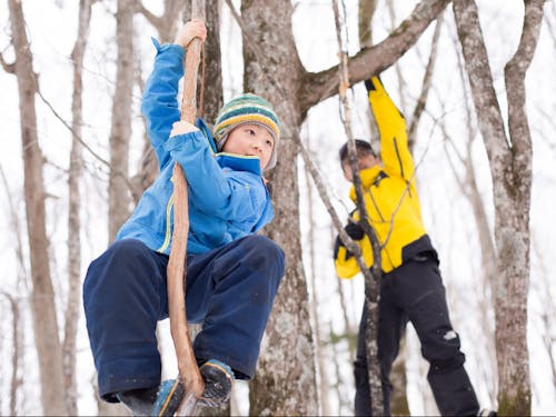主催事業の一つ、春山森林浴。森のことを学びながら、焚火料理を味わう