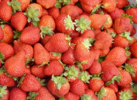 蜷川地区の特産品は甘～いイチゴ。