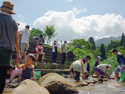 夏の魚の手づかみ行事の様子。