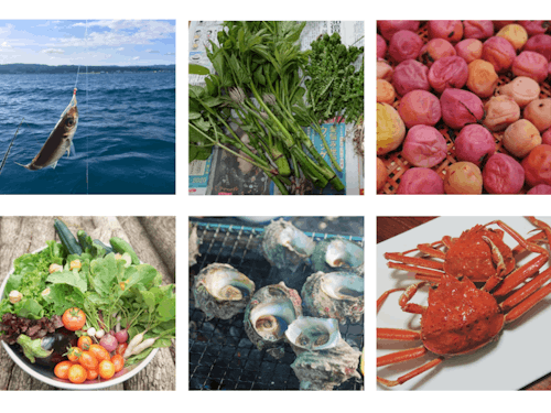 里山里海の暮らしをSNSで発信