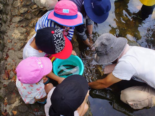 魚の掴み取り体験
