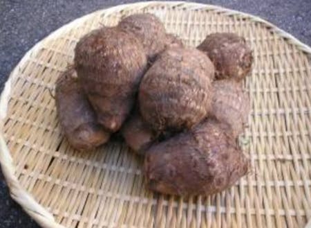 独特の粘りと甘みを持った里芋は福野地域の特産品です。