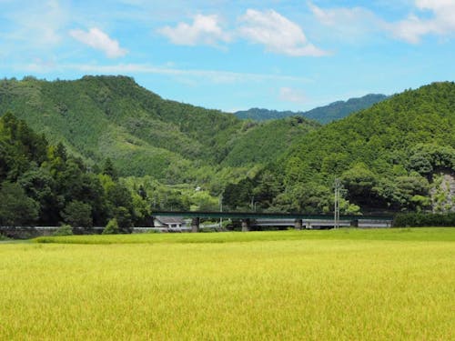 こんな地域での暮らし方と働き方を考えてみましょう。