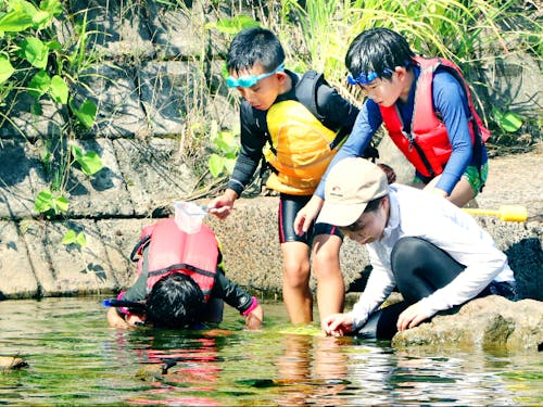 自然体験プログラムの様子