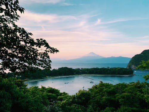 沼津市戸田(へだ)の風景