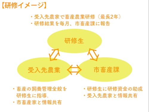 研修イメージ