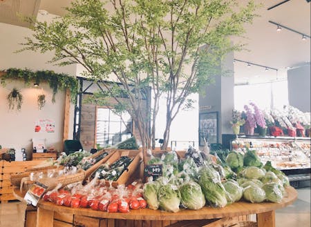 市内の農家直送新鮮野菜が集まる加波山市場（勤務地になります）