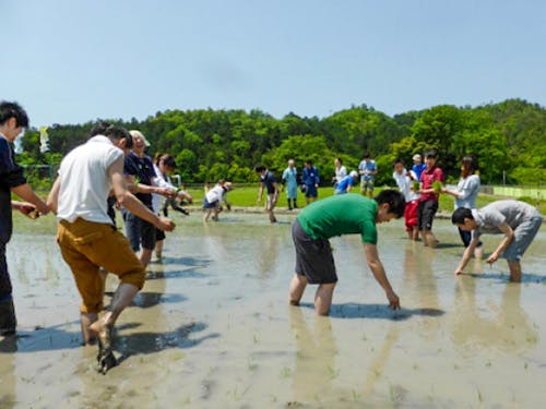 大学生が地域の人と関わっている様子
