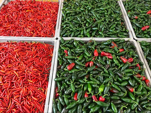 熊野市は唐辛子の栽培に適しています。