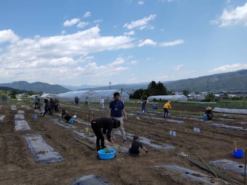 5月の箕輪は畑作業の始まる気持ちのよい気候です♪