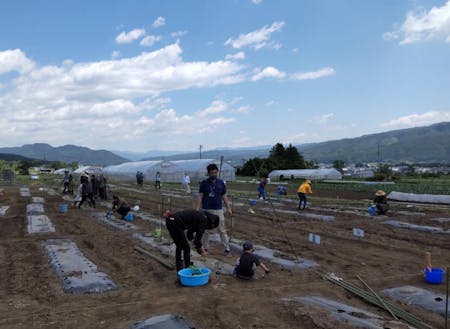 5月の箕輪は畑作業の始まる気持ちのよい気候です♪