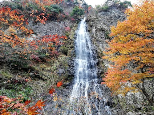 自然や、四季が感じられるスポットが沢山です。