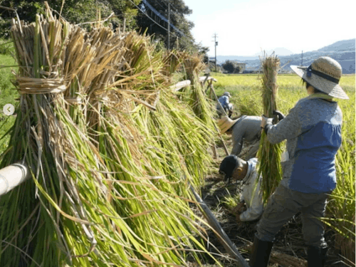 大分県での暮らしin国東市