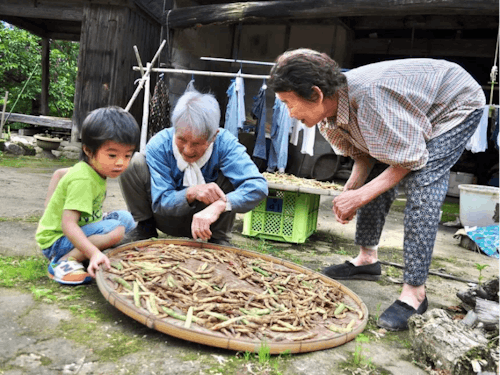 大分県での暮らし