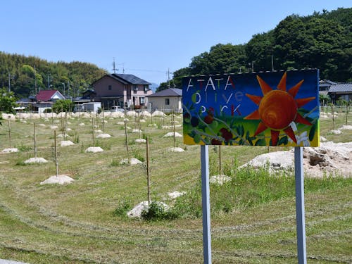 阿多田オリーブパーク@平生町:本場仕込みのオリーブ栽培を!