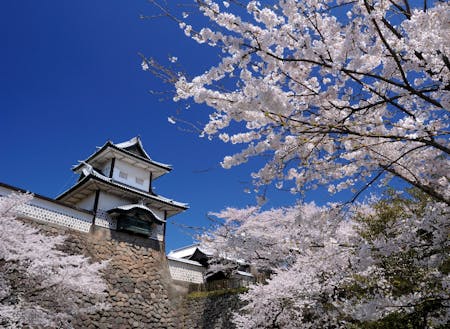 桜が咲いて暖かくなるシーズン：春