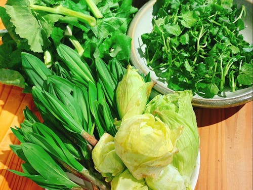 下川の春は山菜祭り!6月までは市街地近くでも美味しい山菜がたくさん採れます。