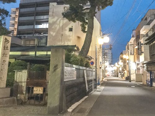 行灯とお店の灯りがともり始める、夕方の宮小路。