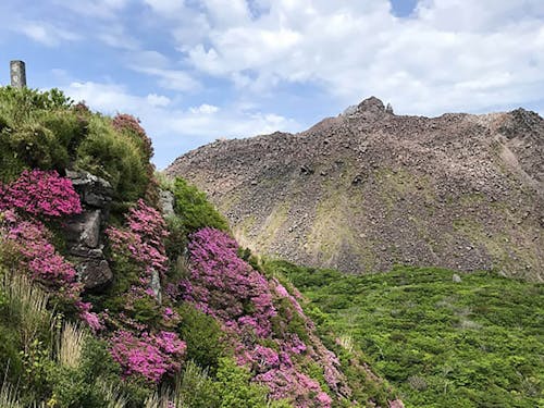 海、山、温泉を満喫♪