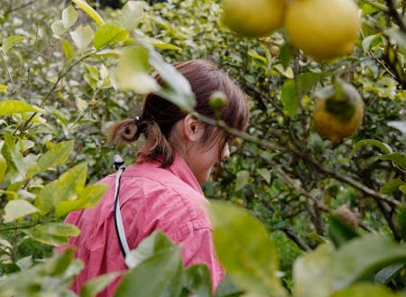 「看護師 x レモン農家」複数の収入源を持つことで経済的な自立が実現できます