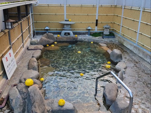 美人の湯として知られる温泉（川上地域）