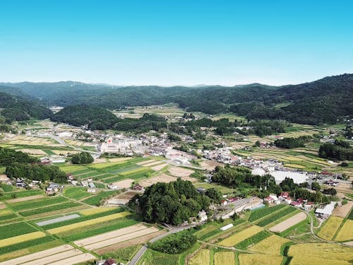 のどかな田園風景に囲まれ、希少な野生動物も多数います。