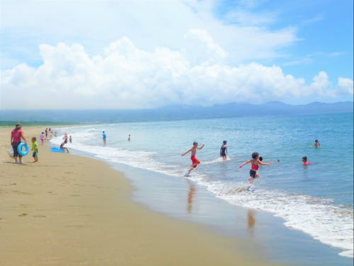 黒潮町自慢の4キロの砂浜の続いた海。