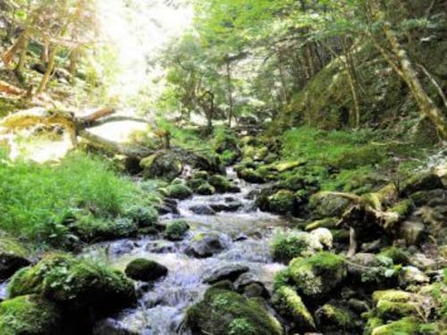 豊かな自然がすぐそばに